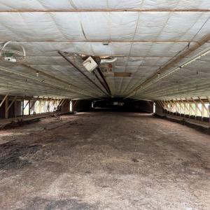 Photo #8 of 7193 BULLBEGGAR RD, WITHAMS, VA 18.0 acres