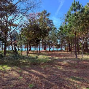 Photo #2 of 124 CREEKSIDE LN, CAPE CHARLES, VA 1.5 acres