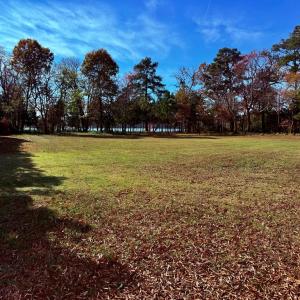 Photo #3 of 124 CREEKSIDE LN, CAPE CHARLES, VA 1.5 acres