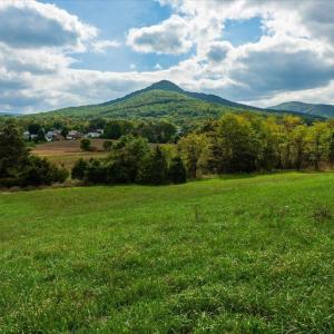 Photo #15 of JUDY LN, STANLEY, VA 71.0 acres