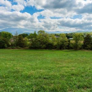 Photo #16 of JUDY LN, STANLEY, VA 71.0 acres