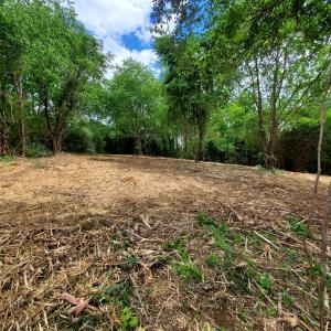 Photo #10 of 12 CROWN RIDGE BERRY FARM RD, STAUNTON, VA 2.4 acres