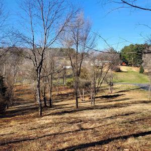 Photo #5 of 12 CROWN RIDGE BERRY FARM RD, STAUNTON, VA 2.4 acres