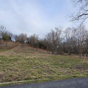Photo #2 of 12 CROWN RIDGE BERRY FARM RD, STAUNTON, VA 2.4 acres