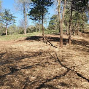 Photo #12 of 12 CROWN RIDGE BERRY FARM RD, STAUNTON, VA 2.4 acres