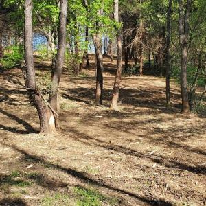 Photo #15 of 12 CROWN RIDGE BERRY FARM RD, STAUNTON, VA 2.4 acres