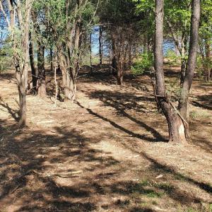 Photo #17 of 12 CROWN RIDGE BERRY FARM RD, STAUNTON, VA 2.4 acres
