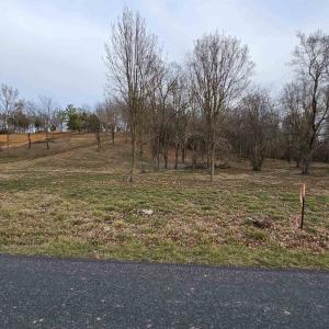 Photo #4 of 12 CROWN RIDGE BERRY FARM RD, STAUNTON, VA 2.4 acres