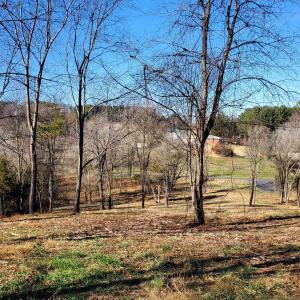 Photo #8 of 12 CROWN RIDGE BERRY FARM RD, STAUNTON, VA 2.4 acres