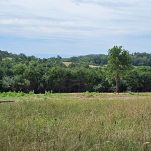 Photo #17 of 4 CROWN RIDGE BERRY FARM RD, STAUNTON, VA 9.1 acres