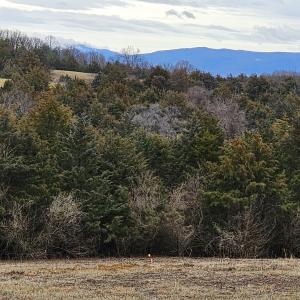 Photo #43 of 4 CROWN RIDGE BERRY FARM RD, STAUNTON, VA 9.1 acres