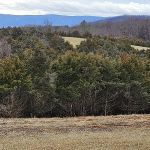 Photo #37 of 4 CROWN RIDGE BERRY FARM RD, STAUNTON, VA 9.1 acres