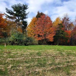Photo #31 of 4 CROWN RIDGE BERRY FARM RD, STAUNTON, VA 9.1 acres