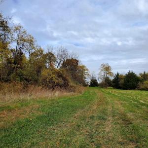 Photo #10 of 4 CROWN RIDGE BERRY FARM RD, STAUNTON, VA 9.1 acres