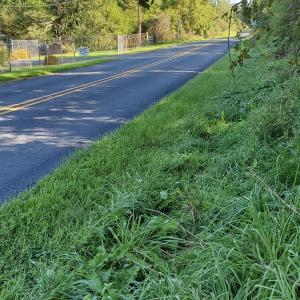 Photo #29 of 4 CROWN RIDGE BERRY FARM RD, STAUNTON, VA 9.1 acres