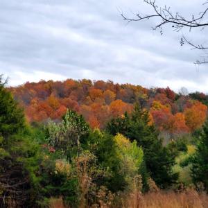 Photo #9 of 4 CROWN RIDGE BERRY FARM RD, STAUNTON, VA 9.1 acres