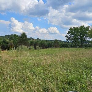 Photo #32 of 4 CROWN RIDGE BERRY FARM RD, STAUNTON, VA 9.1 acres