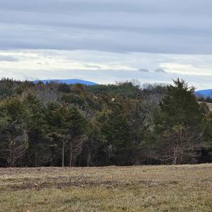 Photo #4 of 4 CROWN RIDGE BERRY FARM RD, STAUNTON, VA 9.1 acres