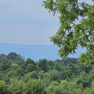 Photo #5 of 4 CROWN RIDGE BERRY FARM RD, STAUNTON, VA 9.1 acres