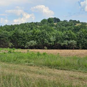 Photo #33 of 4 CROWN RIDGE BERRY FARM RD, STAUNTON, VA 9.1 acres