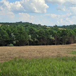 Photo #40 of 4 CROWN RIDGE BERRY FARM RD, STAUNTON, VA 9.1 acres