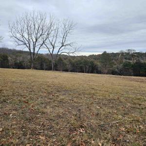 Photo #35 of 4 CROWN RIDGE BERRY FARM RD, STAUNTON, VA 9.1 acres