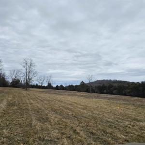 Photo #23 of 4 CROWN RIDGE BERRY FARM RD, STAUNTON, VA 9.1 acres