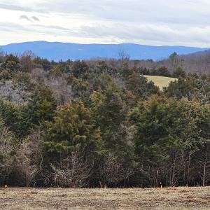 Photo #2 of 4 CROWN RIDGE BERRY FARM RD, STAUNTON, VA 9.1 acres