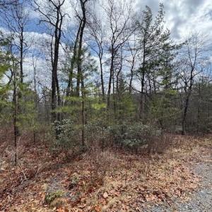 Photo #2 of Lot 45 FETTERBUSH LN, HINTON, VA 3.4 acres
