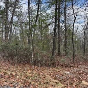 Photo #3 of Lot 45 FETTERBUSH LN, HINTON, VA 3.4 acres