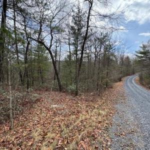 Photo #1 of Lot 45 FETTERBUSH LN, HINTON, VA 3.4 acres