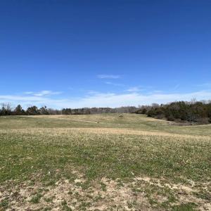 Photo #9 of CARYSBROOK RD, PALMYRA, VA 61.1 acres