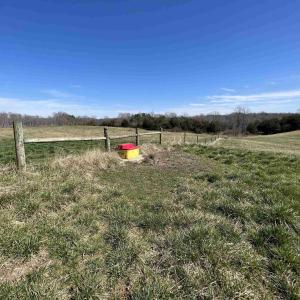 Photo #5 of CARYSBROOK RD, PALMYRA, VA 61.1 acres