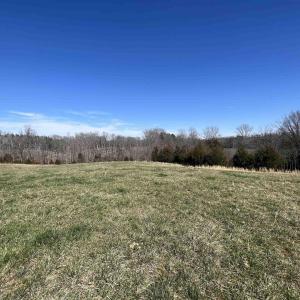 Photo #21 of CARYSBROOK RD, PALMYRA, VA 61.1 acres