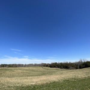 Photo #8 of CARYSBROOK RD, PALMYRA, VA 61.1 acres
