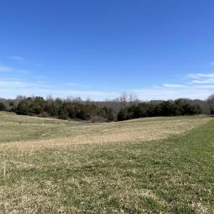 Photo #4 of CARYSBROOK RD, PALMYRA, VA 61.1 acres