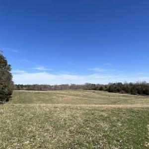 Photo #3 of CARYSBROOK RD, PALMYRA, VA 61.1 acres