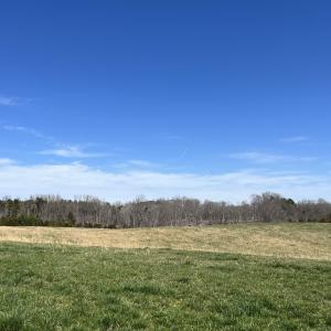 Photo #7 of CARYSBROOK RD, PALMYRA, VA 61.1 acres