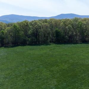 Photo #8 of TBD BOSLEY DR, STANLEY, VA 25.0 acres
