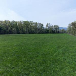 Photo #7 of TBD BOSLEY DR, STANLEY, VA 25.0 acres