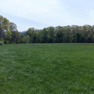 Photo #5 of TBD BOSLEY DR, STANLEY, VA 25.0 acres