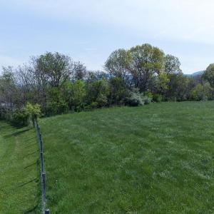 Photo #6 of TBD BOSLEY DR, STANLEY, VA 25.0 acres
