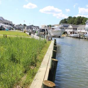 Photo #8 of 933 SAILORS, GREENBACKVILLE, VA 60.0 acres
