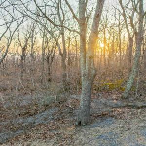 Photo #13 of BLACKROCK CIR, WINTERGREEN RESORT, VA 0.4 acres