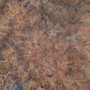 Photo #11 of BLACKROCK CIR, WINTERGREEN RESORT, VA 0.4 acres