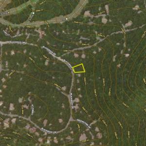 Photo #22 of BLACKROCK CIR, WINTERGREEN RESORT, VA 0.4 acres