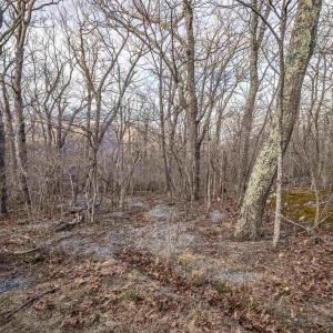 Photo #15 of BLACKROCK CIR, WINTERGREEN RESORT, VA 0.4 acres