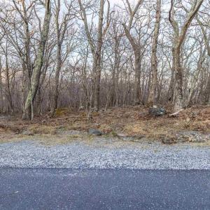 Photo #16 of BLACKROCK CIR, WINTERGREEN RESORT, VA 0.4 acres