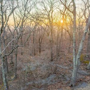 Photo #12 of BLACKROCK CIR, WINTERGREEN RESORT, VA 0.4 acres