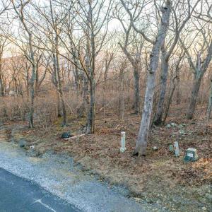 Photo #14 of BLACKROCK CIR, WINTERGREEN RESORT, VA 0.4 acres